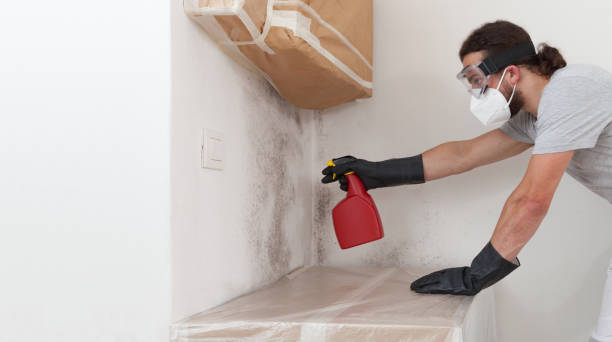 Professional Mold Testing technician working in Highlands, NJ